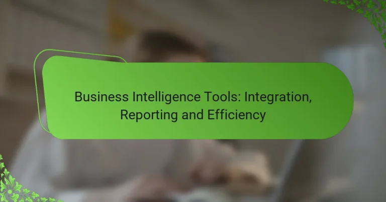 Business Intelligence Tools: Integration, Reporting and Efficiency
