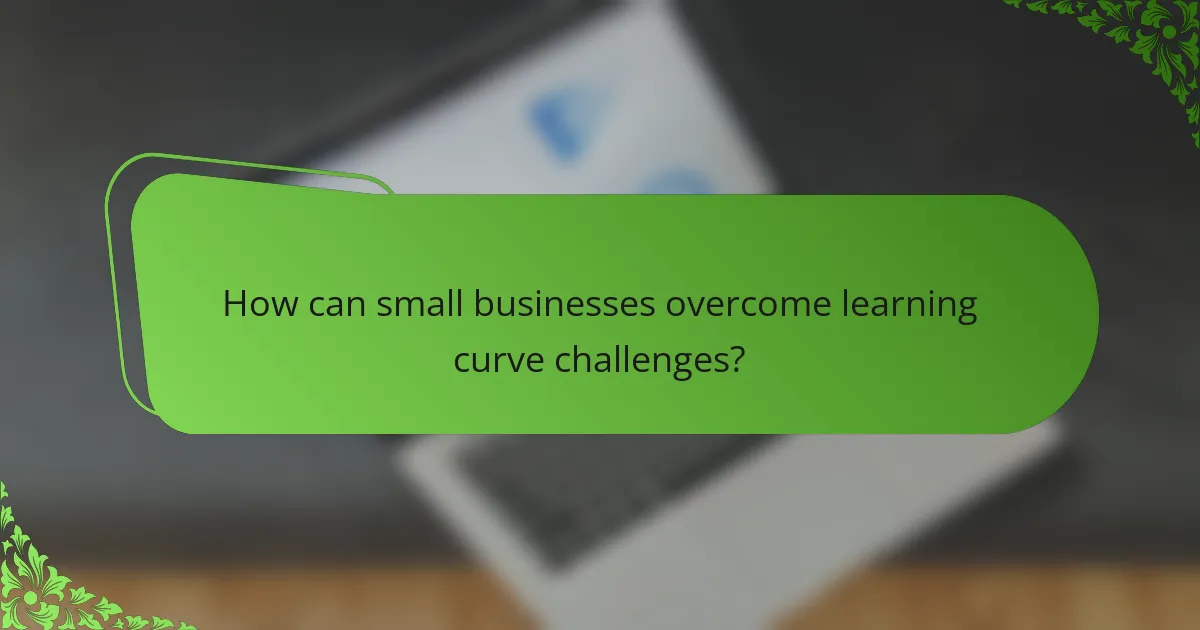 How can small businesses overcome learning curve challenges?